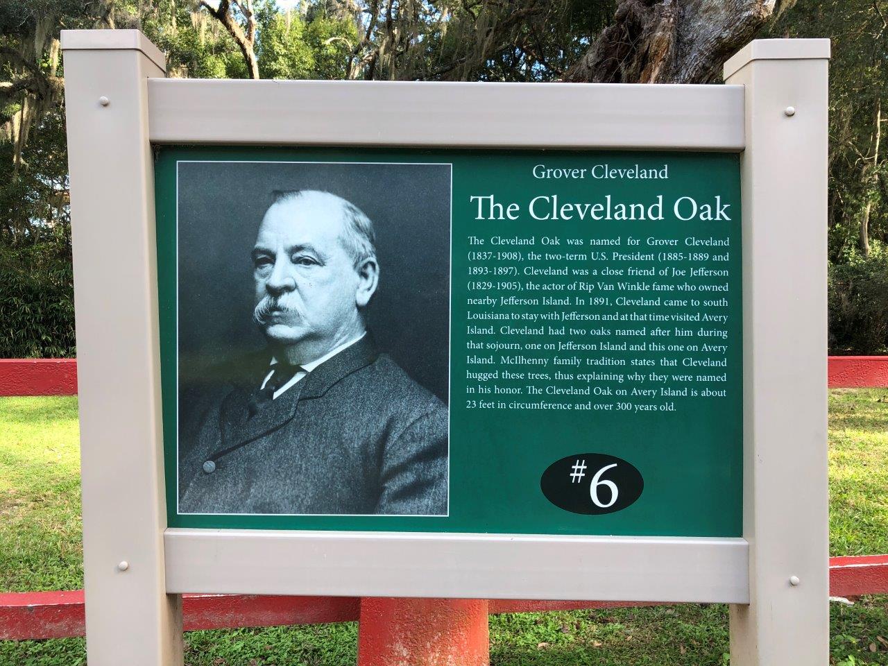 Grover Cleveland oak tree in Avery Island, Louisiana